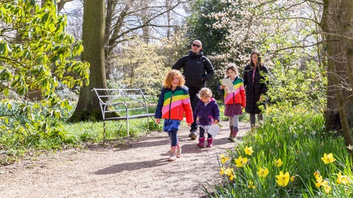 A young family walk through woodlands on a sunny day, with daffodils in the foreground and green leafy trees in the background. The children are looking excited and wearing rainbow coats.